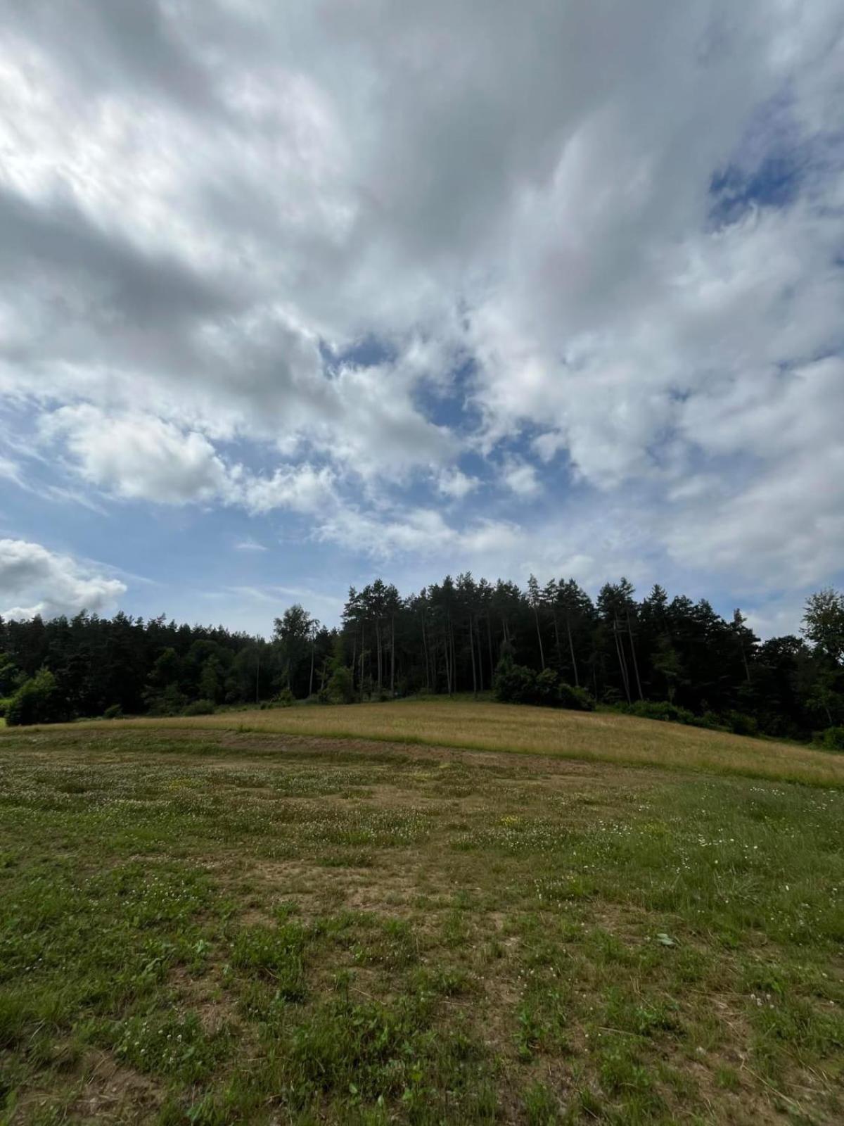 W Bieszczadach Nowa Zelandia
