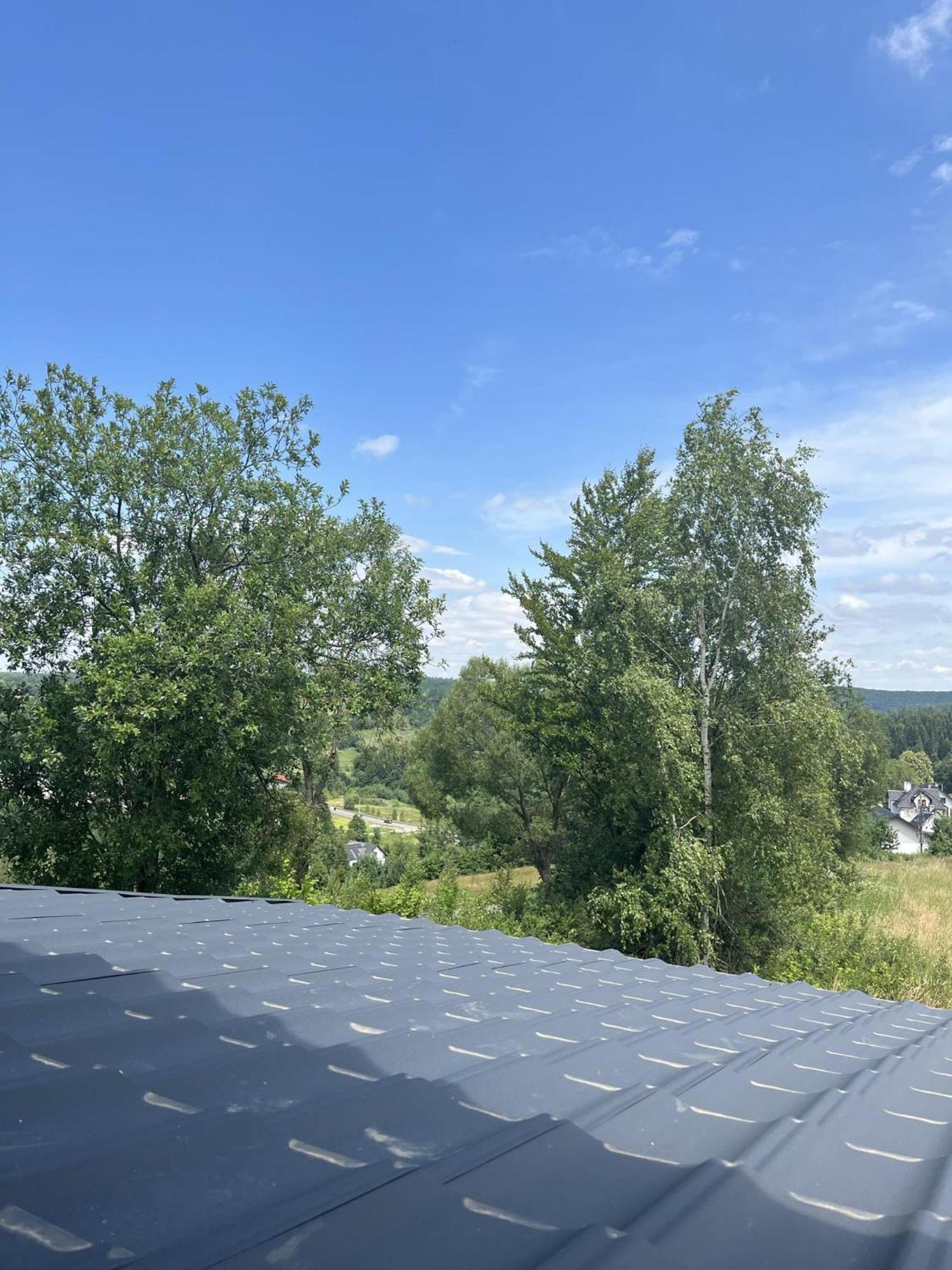 W Bieszczadach Nowa Zelandia Holiday home *